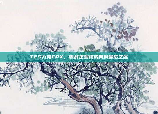 TES力克FPX，激战正酣终成笑到最后之胜