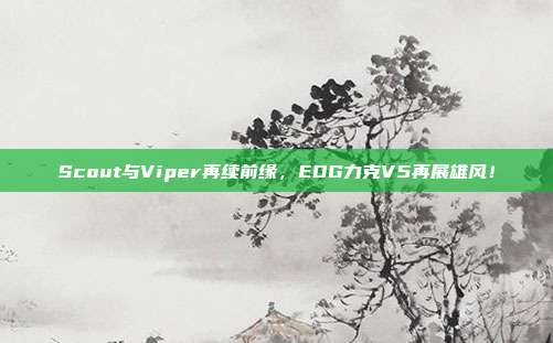 Scout与Viper再续前缘，EDG力克V5再展雄风！