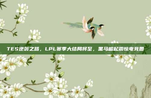 TES逆袭之路，LPL赛季大结局将至，黑马崛起震惊电竞圈