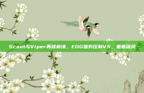 Scout与Viper再续前缘，EDG强势压制V5，重振雄风