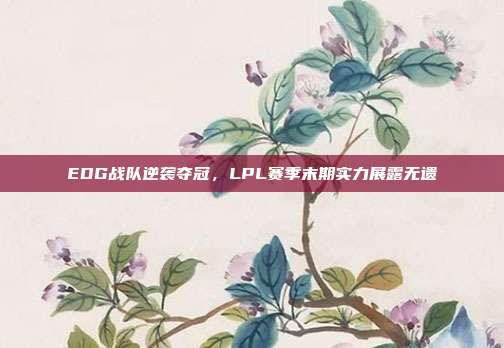 EDG战队逆袭夺冠，LPL赛季末期实力展露无遗