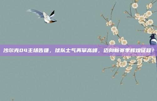 沙尔克04主场告捷，球队士气再攀高峰，迈向新赛季辉煌征程！