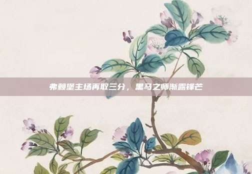 弗赖堡主场再取三分，黑马之师渐露锋芒