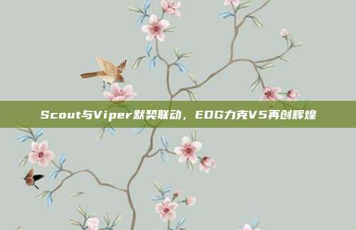 Scout与Viper默契联动，EDG力克V5再创辉煌