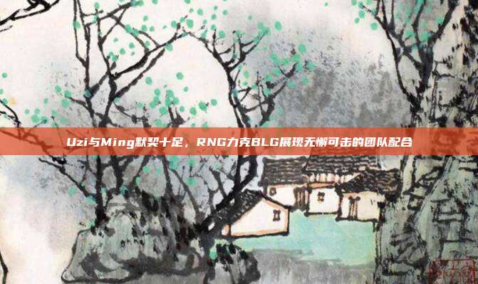 Uzi与Ming默契十足，RNG力克BLG展现无懈可击的团队配合