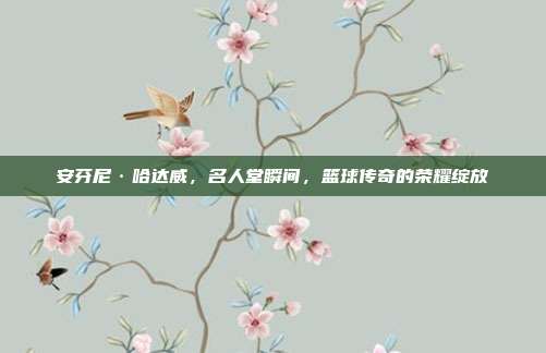 安芬尼·哈达威，名人堂瞬间，篮球传奇的荣耀绽放