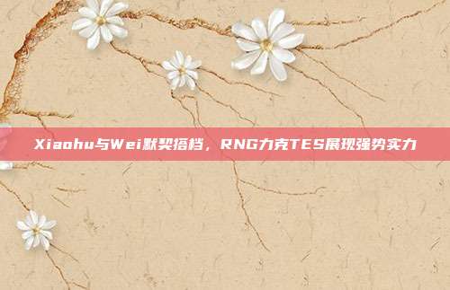 Xiaohu与Wei默契搭档，RNG力克TES展现强势实力