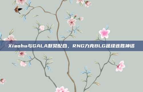 Xiaohu与GALA默契配合，RNG力克BLG延续连胜神话