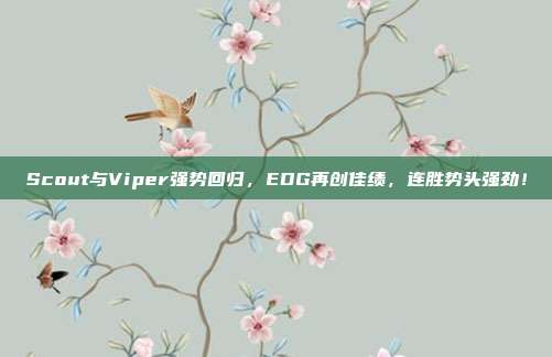 Scout与Viper强势回归，EDG再创佳绩，连胜势头强劲！