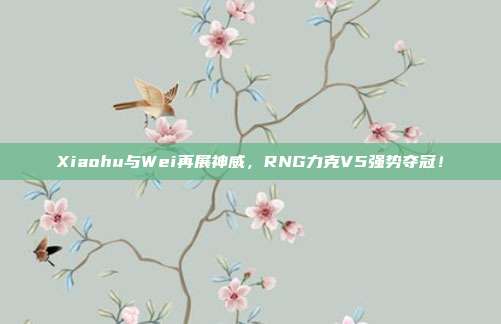 Xiaohu与Wei再展神威，RNG力克V5强势夺冠！